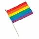 Rainbow 30x45 cm. Stick flag